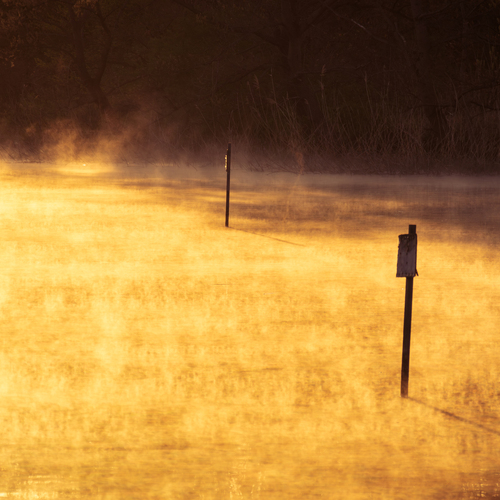 Photo #13800499