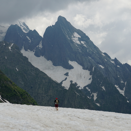 Photo #13800515