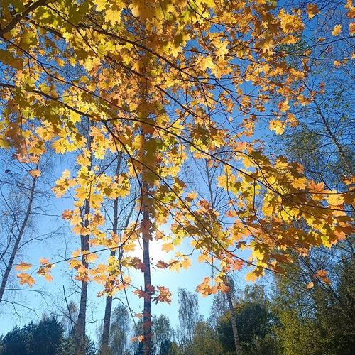 Photo #13800632