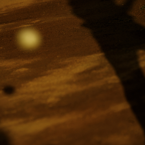 Photo #13800676