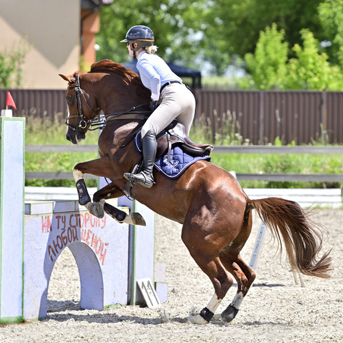 Photo #13800727