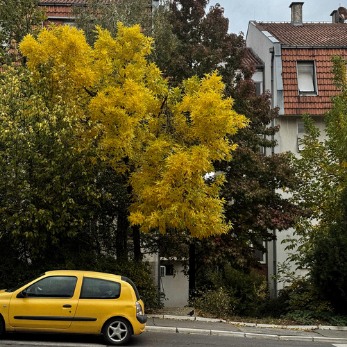 Photo #13800807