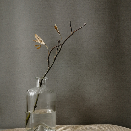 Photo #13800842