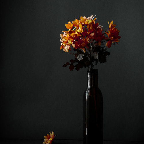 Photo #13800843