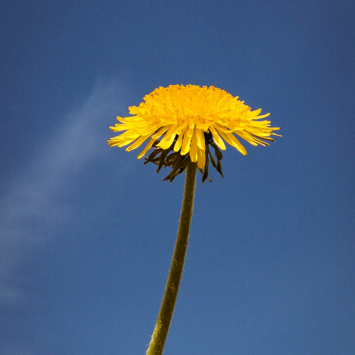 Photo #13800844