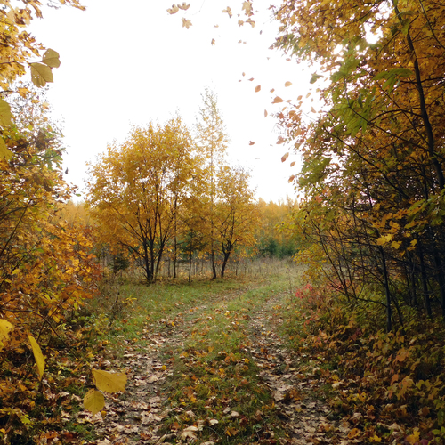 Photo #13801002