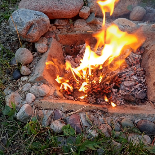 Photo #13801042
