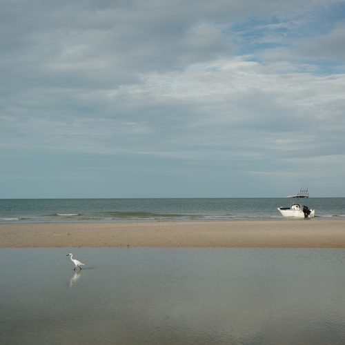 Photo #13801118