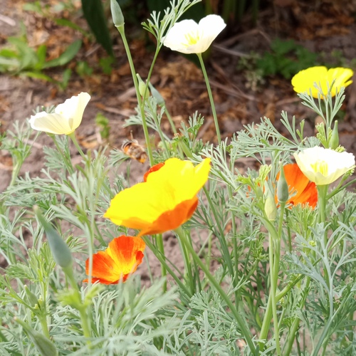 Photo #13801253