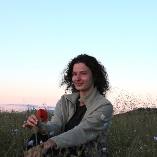 Photo #13801469