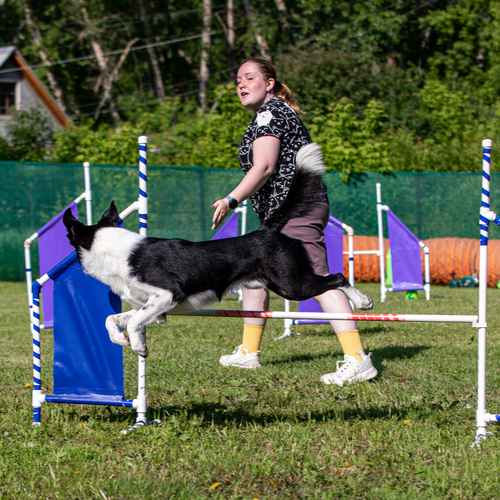 Photo #13801485