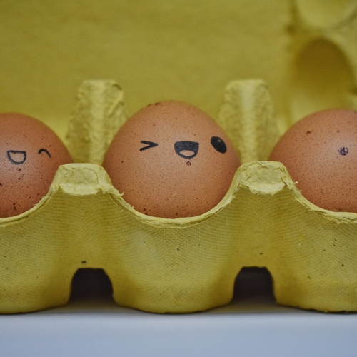 Photo #13801526