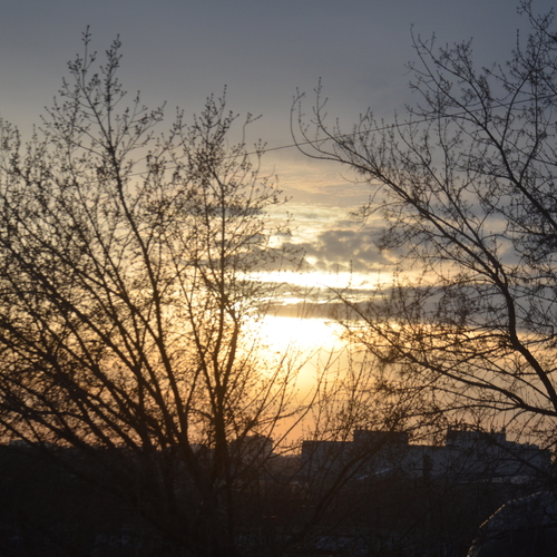 Photo #13801630