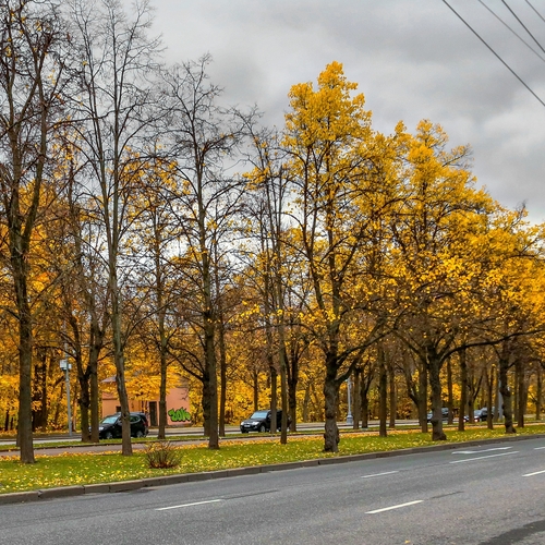 Photo #13801692