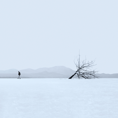 Photo #13801756