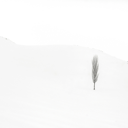 Stillness
