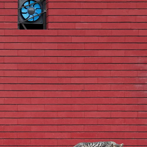 Photo #13801864
