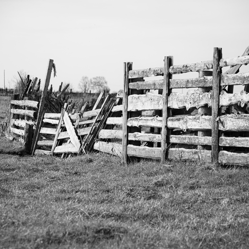 Photo #13801959