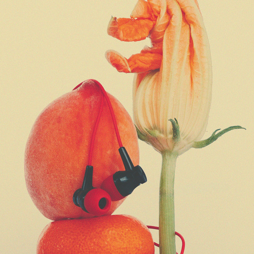 Photo #13802117