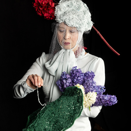Lady Ortensia