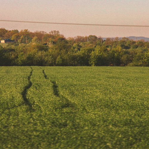 Photo #13802223