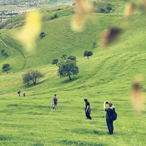 Photo #13802243