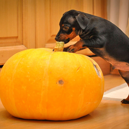Photo #13802248