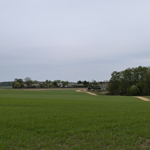 Photo #13802330