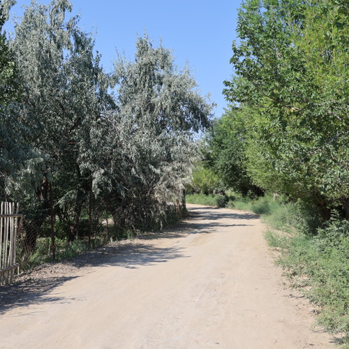 Photo #13802411