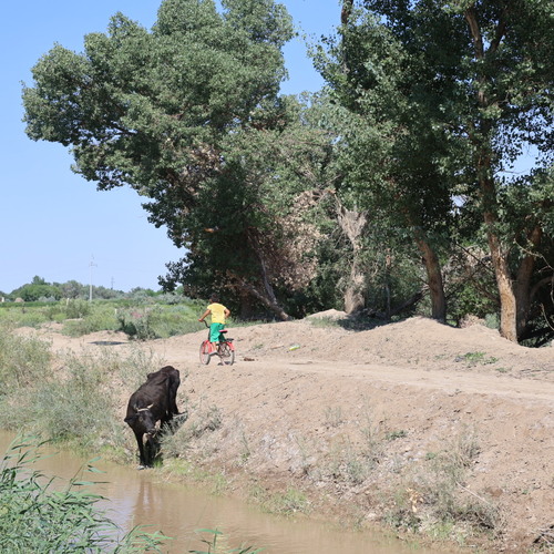 Photo #13802414