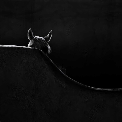 Hide and seek