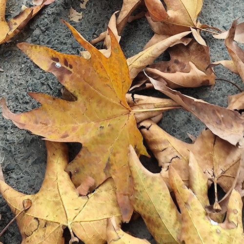 Photo #13802483
