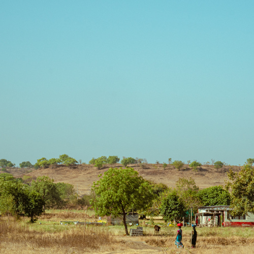 Photo #13802544