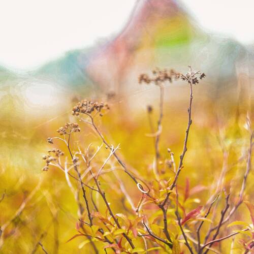 Photo #13802577