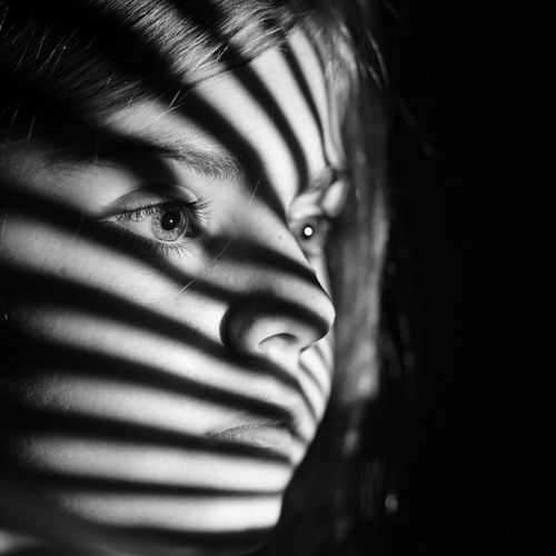 Photo #13802708