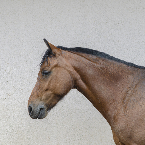Photo #13802803