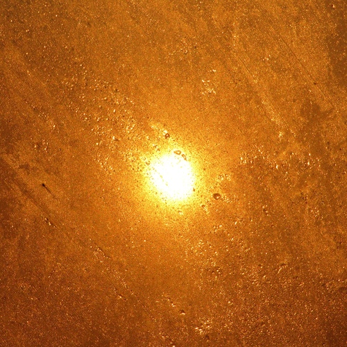 Photo #13802832