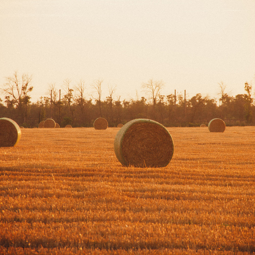Photo #13803044