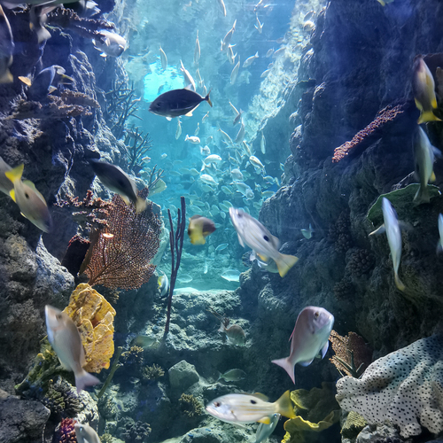 Photo #13803207