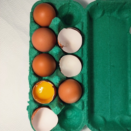 Photo #13803361