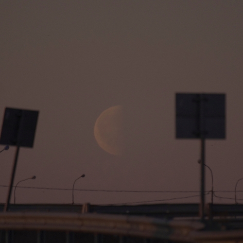 Photo #13803397