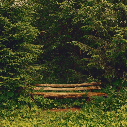 Photo #13803398