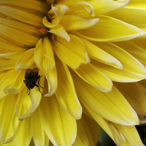 Photo #13803498