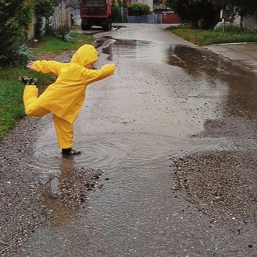 Photo #13803512
