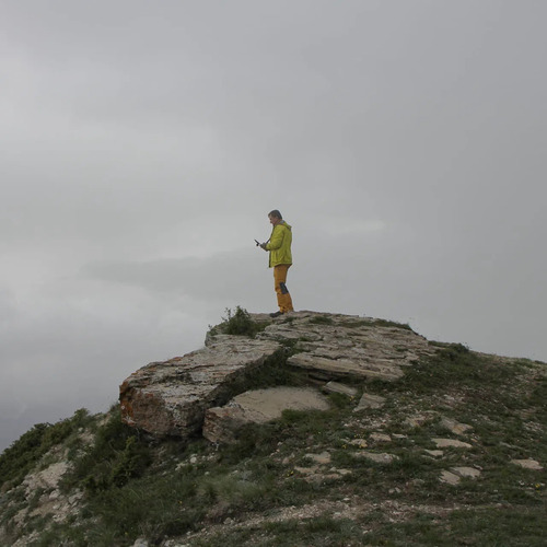 Photo #13803567