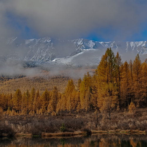 Photo #13803635
