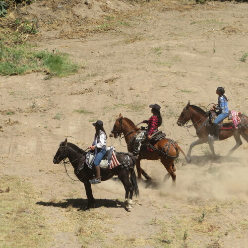 Photo #13803638