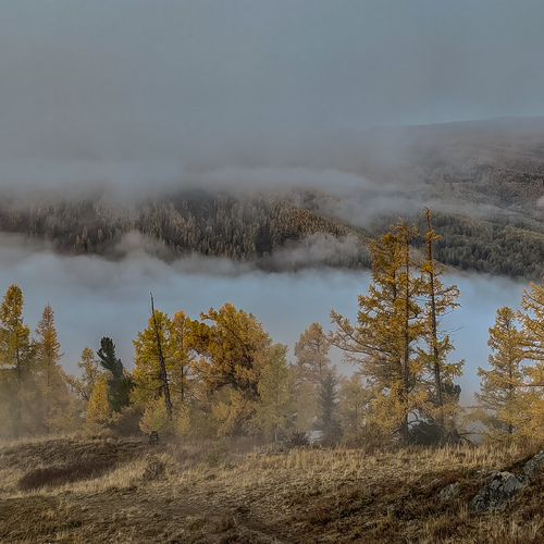 Photo #13803647