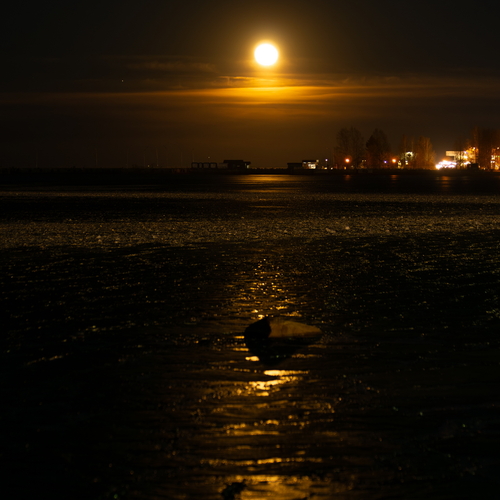 Photo #13803648