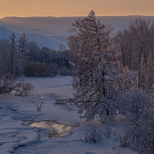 Photo #13803655
